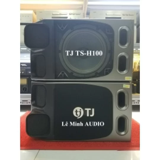 Loa KaraOke TJ TS-H100 KOREA