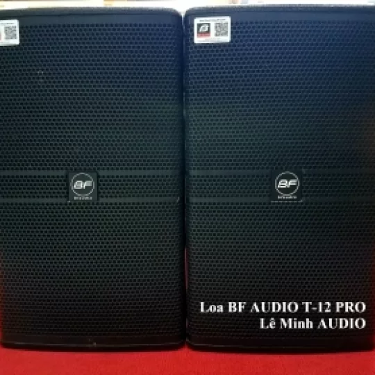 Loa BF AUDIO T12 PRO