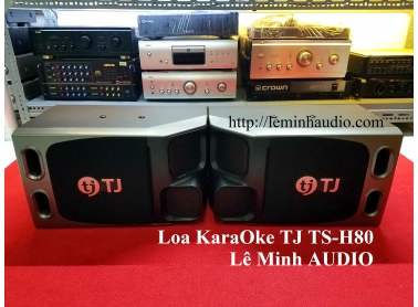 Loa KaraOke TJ Media TS-H80