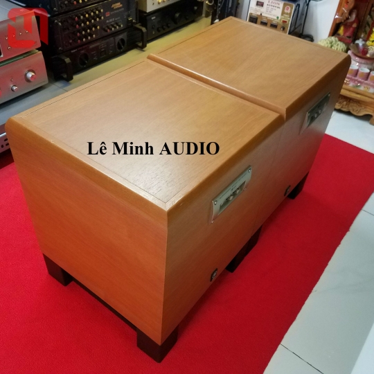 SUB điện YAMAHA YST-SW800