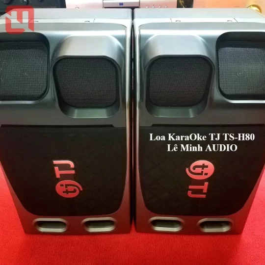 Loa KaraOke TJ Media TS-H80