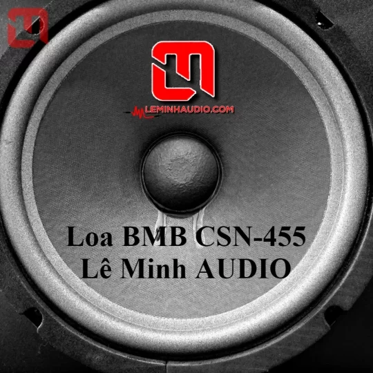 Loa KaraOke BMB CSN 455
