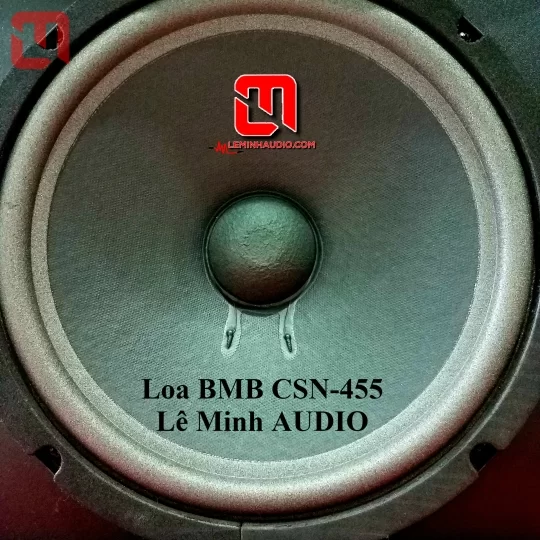 Loa KaraOke BMB CSN 455