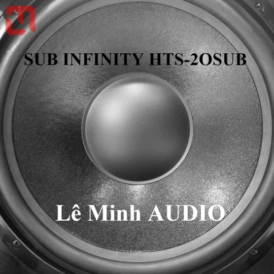 SUB điện INFINITY HTS-20 SUB