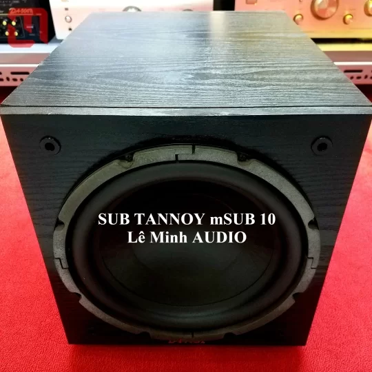 SUB TANNOY mSUB 10