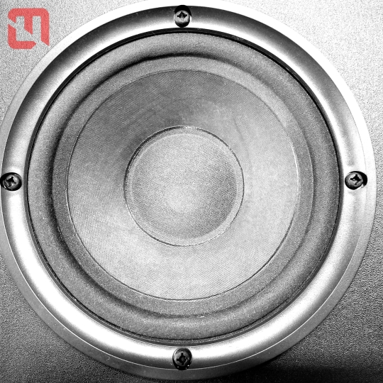 Loa Bose 201 Series IV đến từ US