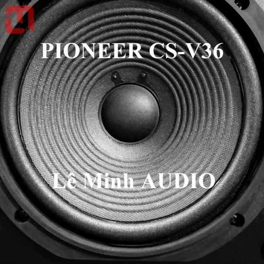 Loa Pioneer CS-V36-LR