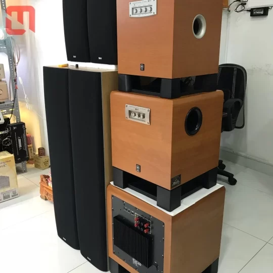 Loa SUB Yamaha YST-SW215