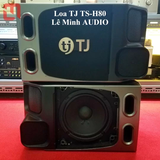 Loa KaraOke TJ Media TS-H80