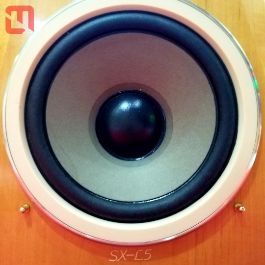 Loa Bookshelf Hi End VICTOR SX - L5 hàng eBay