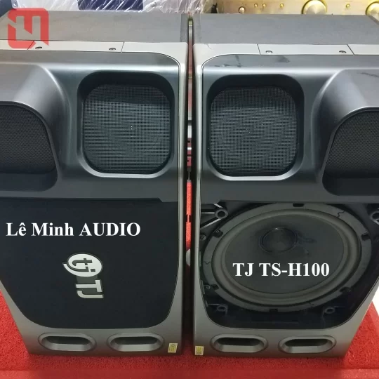Loa KaraOke TJ TS-H100 KOREA