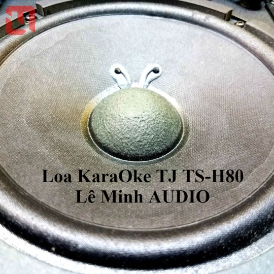 Loa KaraOke TJ Media TS-H80