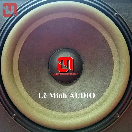 Loa Bose 301 Series II