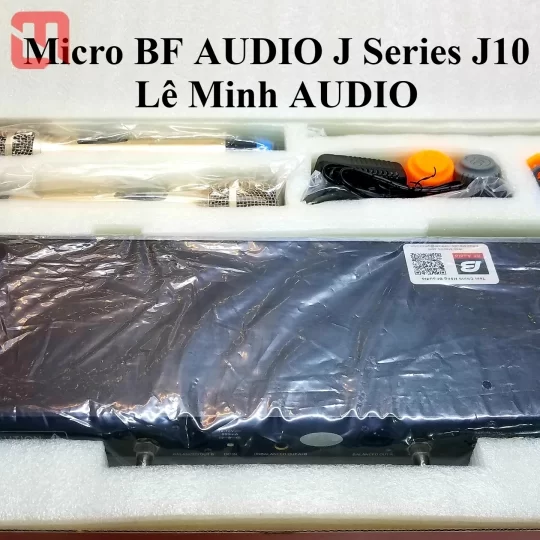 Micro BF AUDIO J series J10