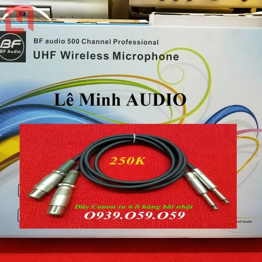 Micro BF AUDIO J series J10