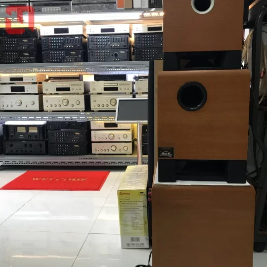 Loa SUB Yamaha YST-SW215