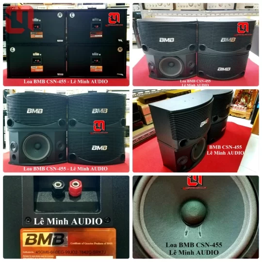 Loa KaraOke BMB CSN 455