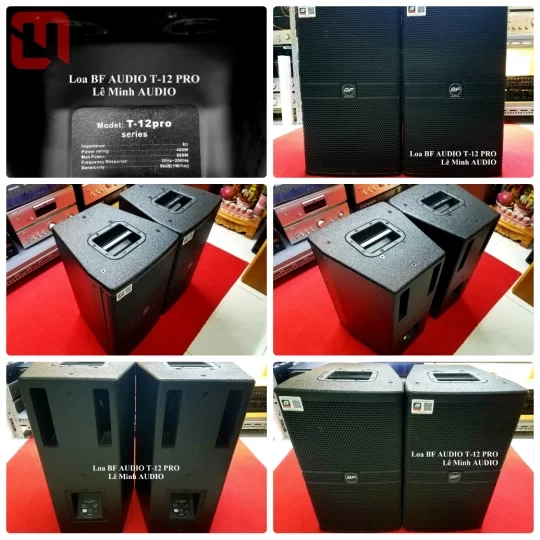 Loa BF AUDIO T12 PRO
