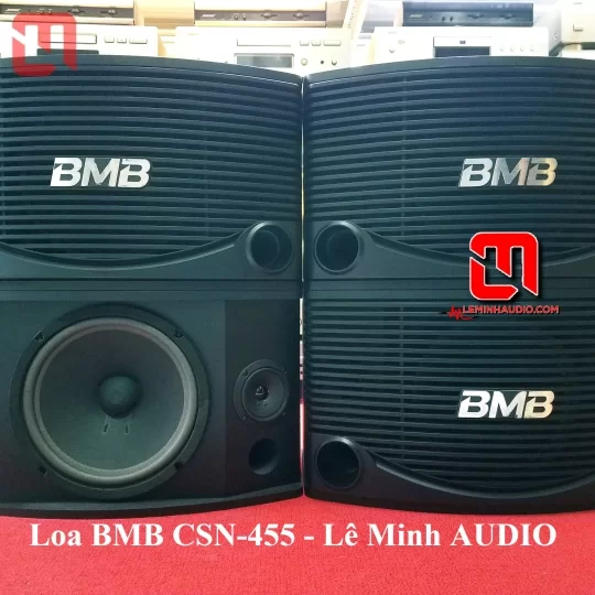 Loa KaraOke BMB CSN 455