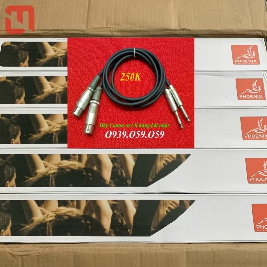 Micro cao cấp không dây PHOENIX PH-M910S