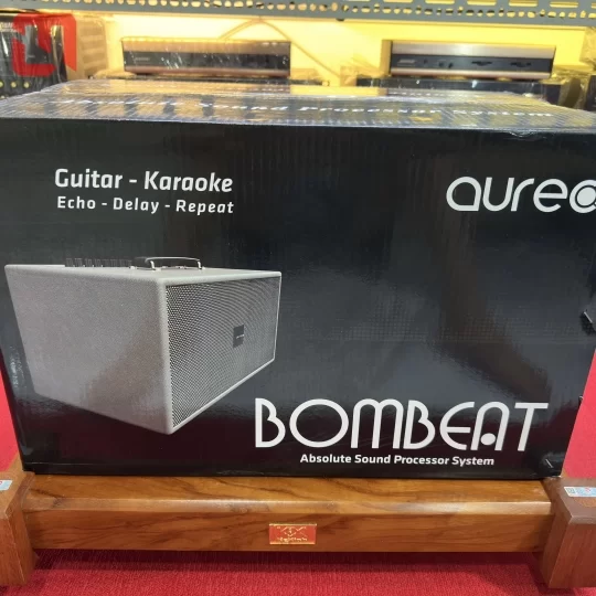 Loa KaraOke AUREC CH390 PRO II